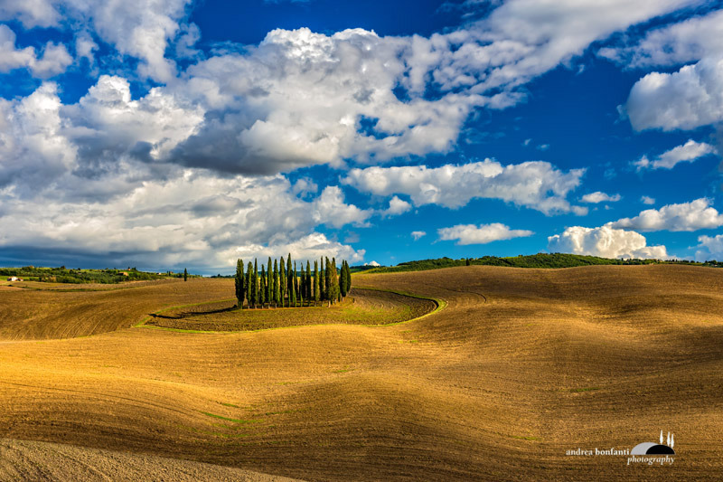 Tuscany Photo Tour : val d'Orcia landscapes © andrea bonfanti