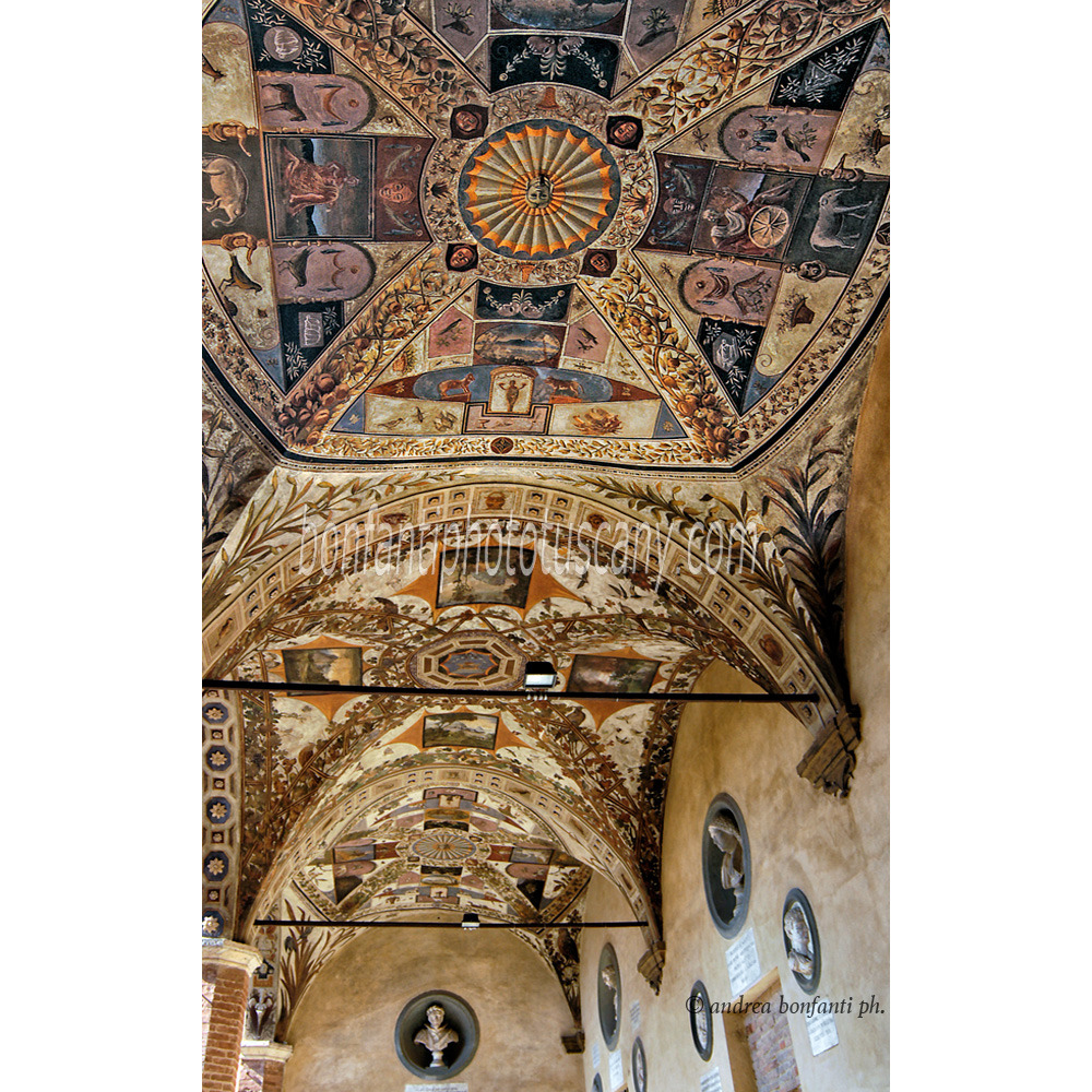 andrea bonfanti ph © cour du palazzo Chigi Sienne