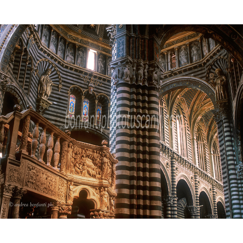 andrea bonfanti ph © intérieur du Duomo de Sienne andrea bonfanti ph © intérieur du Duomo de Sienne