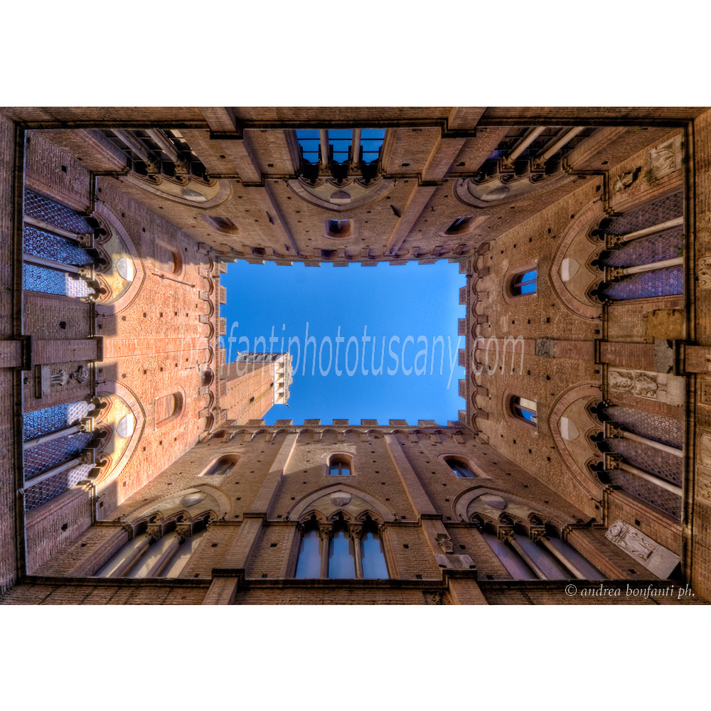 05 entrone-su-quadro.jpg