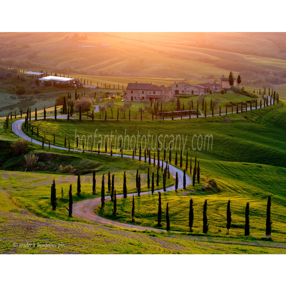 andrea bonfanti ph © Crete senesi, coucher de soleil a Chiusure (Sienne)