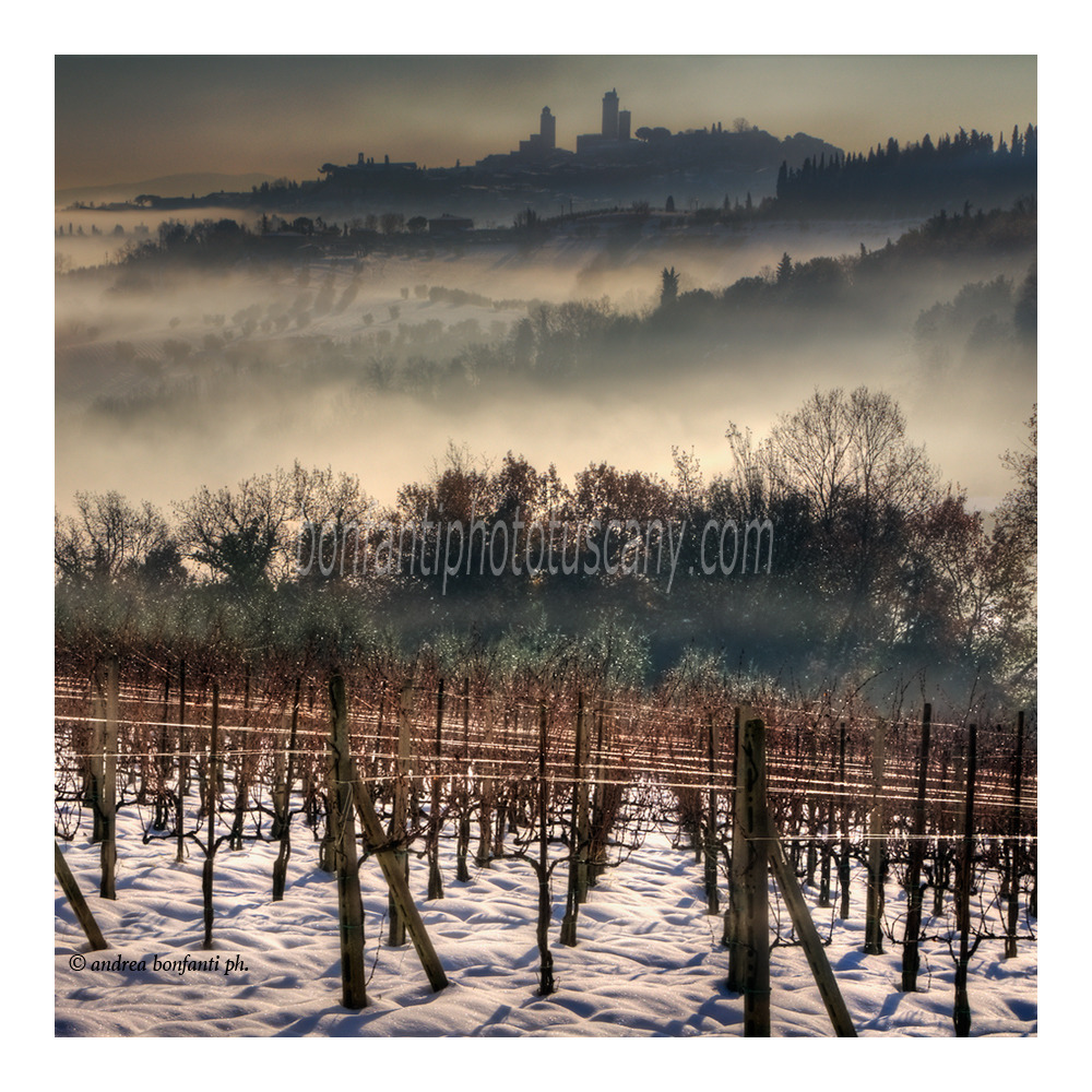 andrea bonfanti ph © San Gimignano en hiver et vignes andrea bonfanti ph © San Gimignano en hiver et vignes