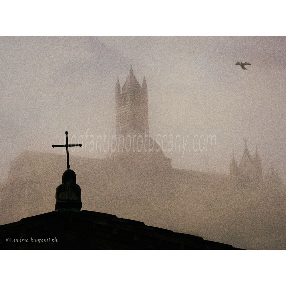 andrea bonfanti ph © Duomo de Sienne depuis l'Oratoire de Sainte Catherine andrea bonfanti ph © Duomo de Sienne depuis l'Oratoire de Sainte Catherine