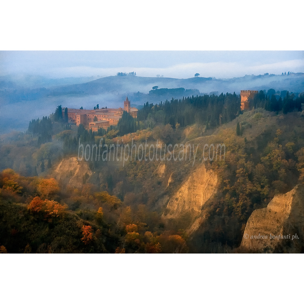Andrea Bonfanti Photographer © Monte Oliveto (Siene) Toscane