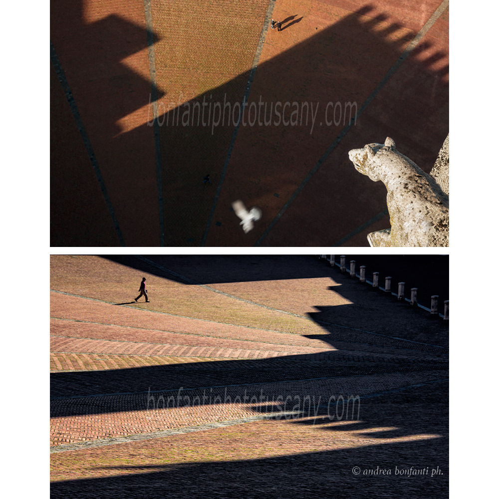 andrea bonfanti ph © ombres du matin sur la piazza del Campo de Sienne