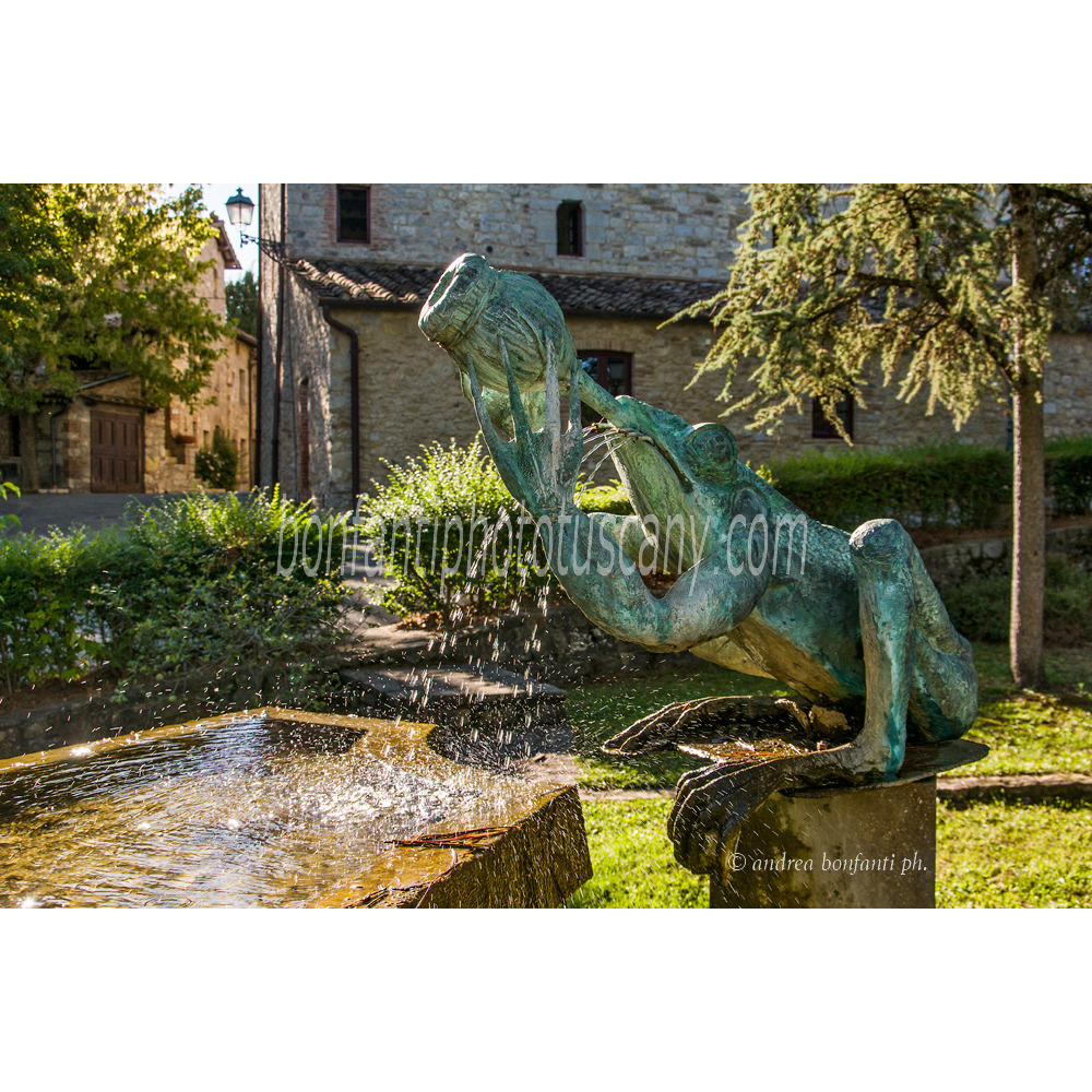 Andrea Bonfanti Photographer © la grenouille qui boit  a San Sano (Sienne) Toscane Andrea Bonfanti Photographer © la grenouille qui boit  a San Sano (Sienne) Toscane