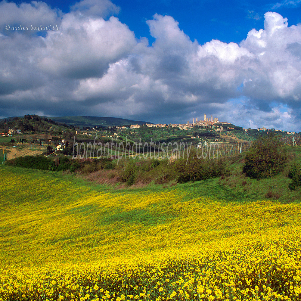 andrea bonfanti ph © San Gimignano au printemps andrea bonfanti ph © San Gimignano au printemps