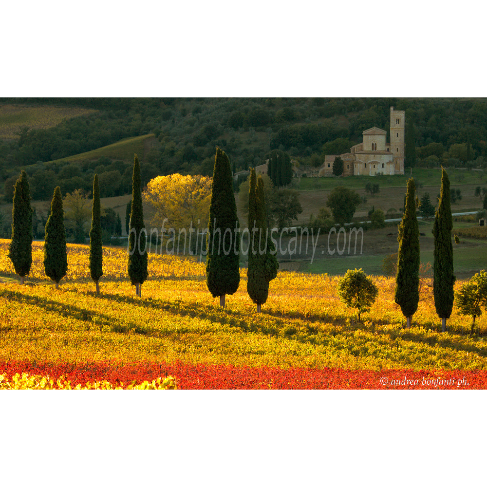 andrea bonfanti ph © automne à l'abbaye de Sant'Antimo ( Sienne) Toscane