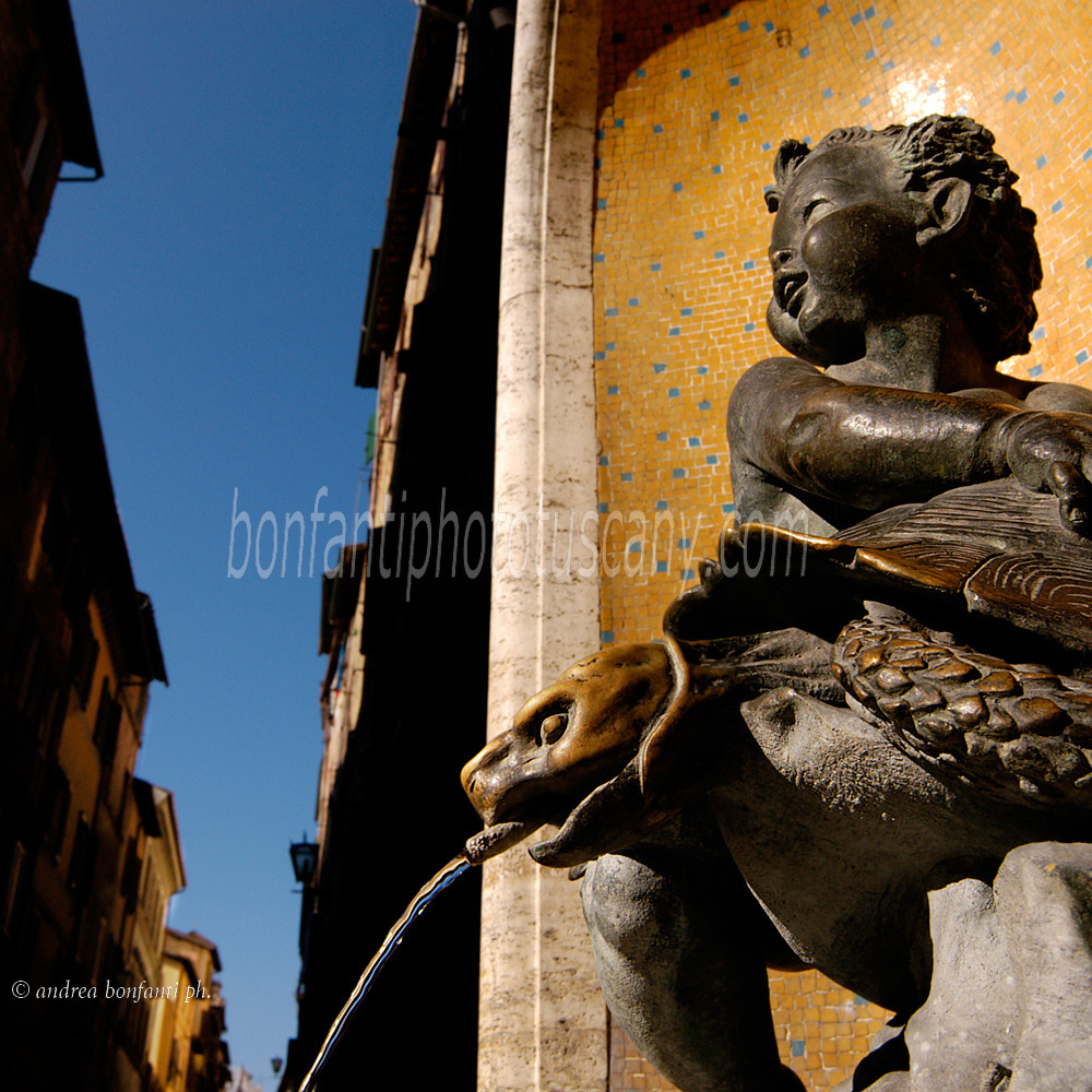 andrea bonfanti ph © fontaine de la contrade de la Tortue à Sienne