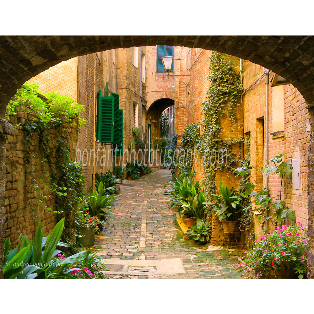 andrea bonfanti ph © vicolo degli Orefici Senne Toscane