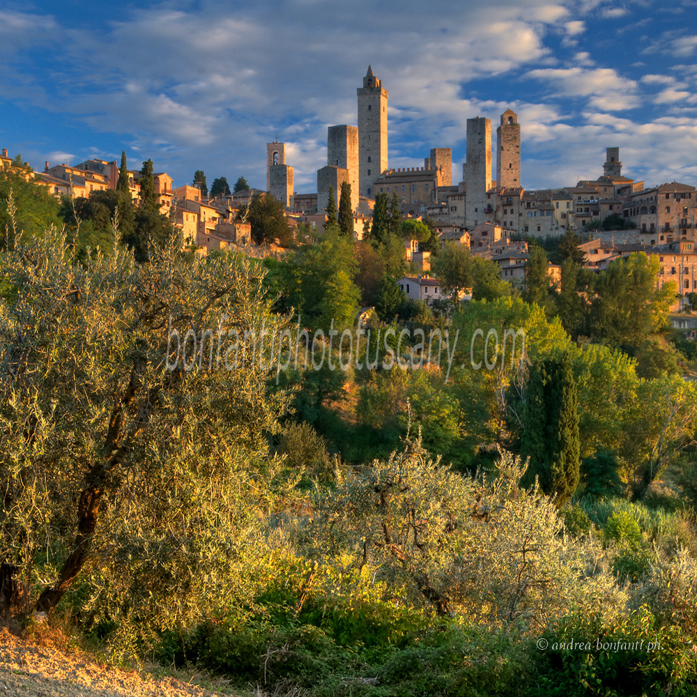 andrea bonfanti ph © tours de San Gimignano le matin andrea bonfanti ph © tours de San Gimignano le matin