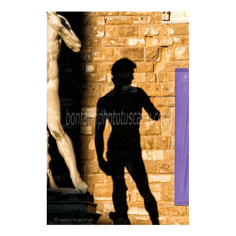 andrea bonfanti ph © David et son ombre Place de la Seigneurie Florence