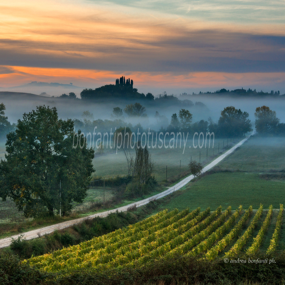 Andrea Bonfanti Photographer © Montaperti (Sienne) Toscane Andrea Bonfanti Photographer © Montaperti (Sienne) Toscane