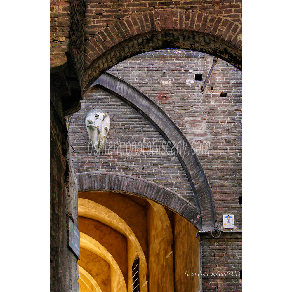 andrea bonfanti ph © via della Galluzza Sienne