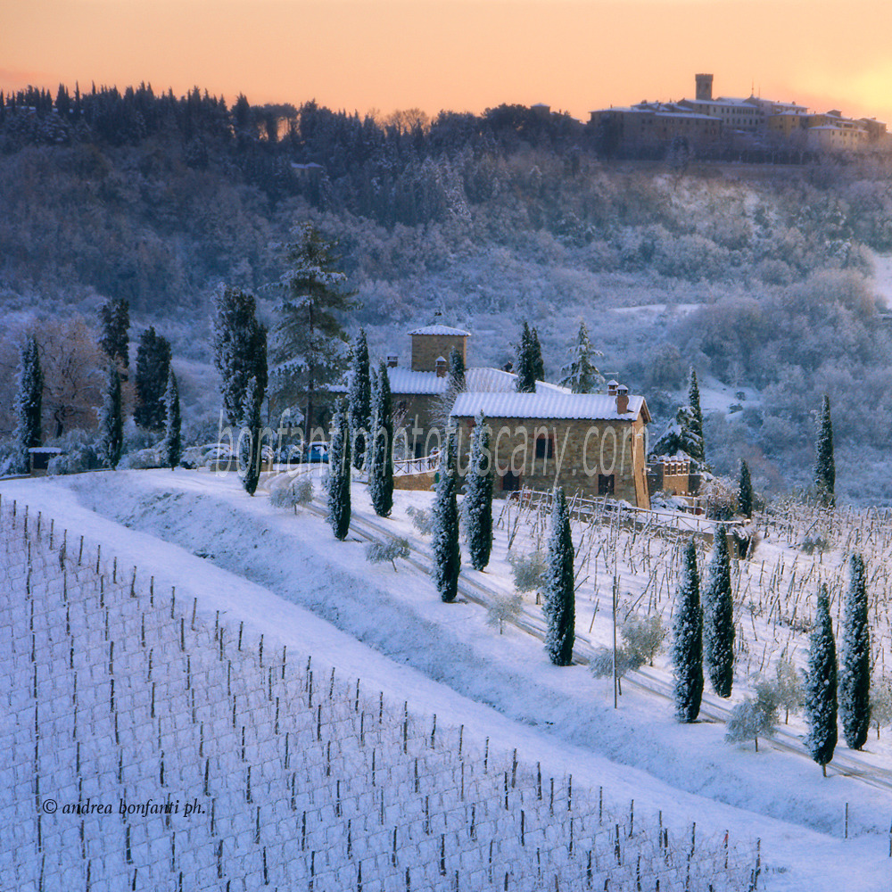 andrea bonfanti ph © paysage hivernal a Radda in Chianti ( Toscane) andrea bonfanti ph © paysage hivernal a Radda in Chianti ( Toscane)