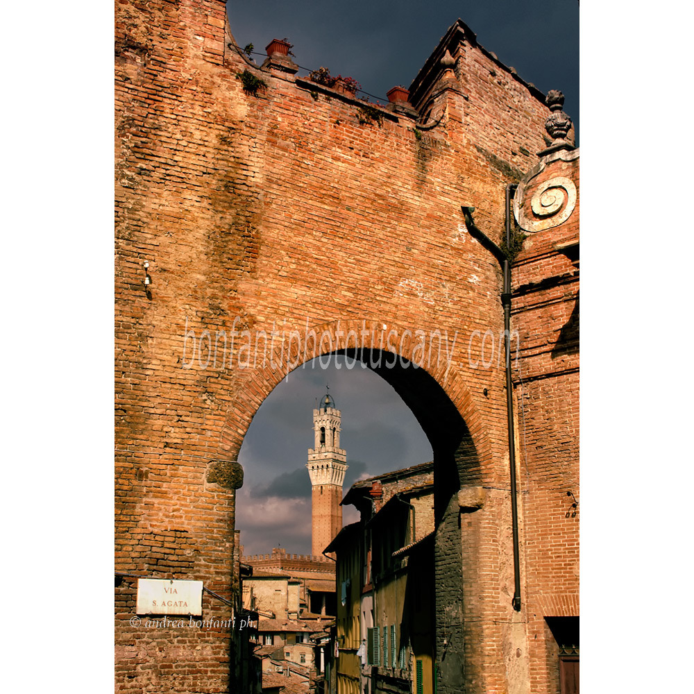 andrea bonfanti ph © arc de Sant'Agata dans la contrade de l' Onda à Sienne