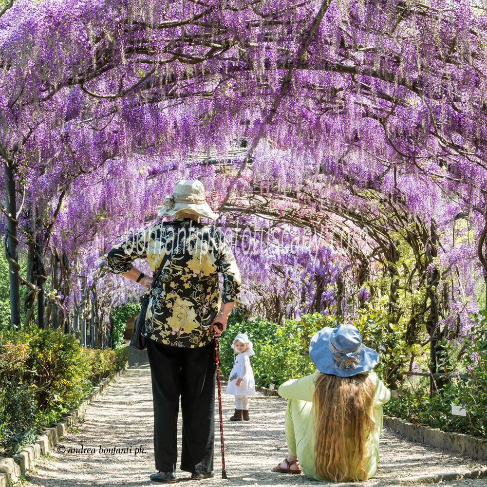 andrea bonfanti ph © jardin Bardini au printemps Florence