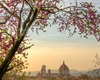 andrea bonfanti ph © Florence depuis la via dei Bastioni