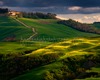 Andrea Bonfanti Photographer © Crete Senesi (Siena) Tuscany  Vescona