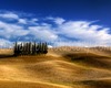 Andrea Bonfanti Photographer © Crete Senesi (Siena) Tuscany Cyprès San Quirico d'Orcia