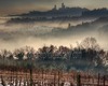 andrea bonfanti ph © San Gimignano en hiver et vignes