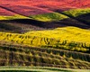 Andrea Bonfanti Photographer © Crete Senesi (Siena) Tuscany Colors Val d'Orcia