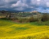 andrea bonfanti ph © San Gimignano au printemps