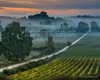 Andrea Bonfanti Photographer © Montaperti (Sienne) Toscane