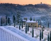 andrea bonfanti ph © paysage hivernal a Radda in Chianti ( Toscane)