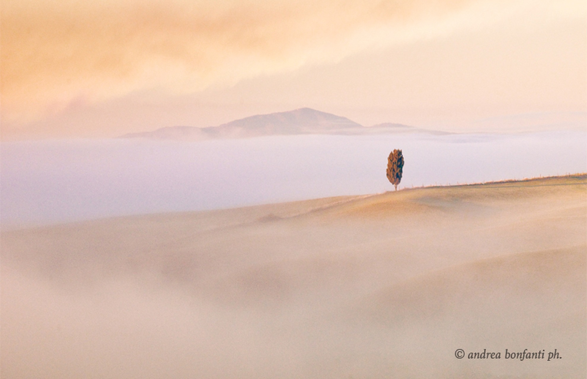 Photographic Tour in Tuscany Crete Senesi Landscapes Torre a Castello Siena © andrea bonfanti