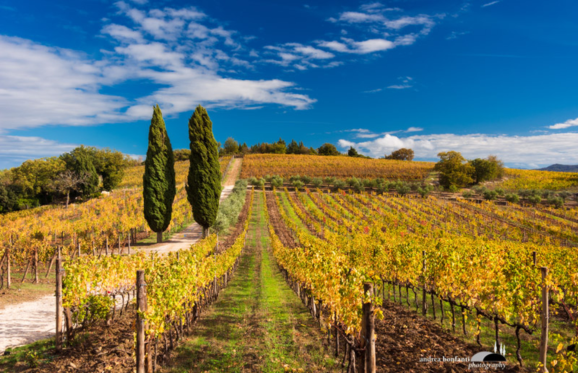 chianti fiorentino tour with andrea bonfanti ph.