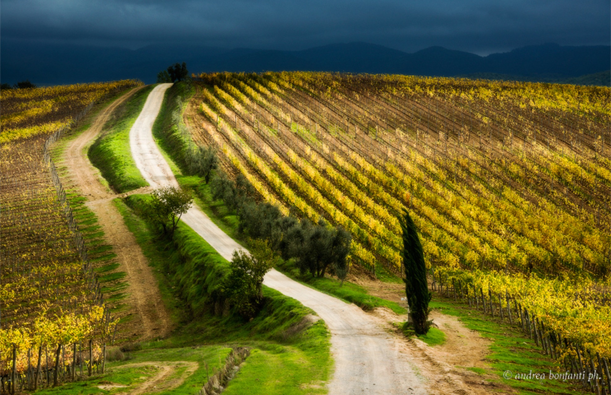 Tuscany Photo Tour Chianti vineyards and villages © andrea bonfanti