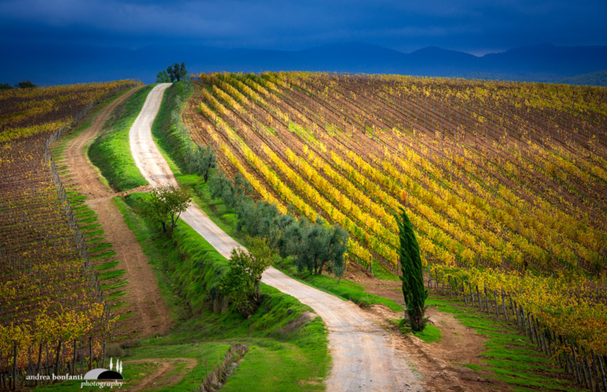 Tuscany Photo Tour Chianti vineyards and villages © andrea bonfanti