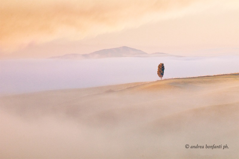 Photographic Tour in Tuscany Crete Senesi Landscapes Torre a Castello Siena © andrea bonfanti