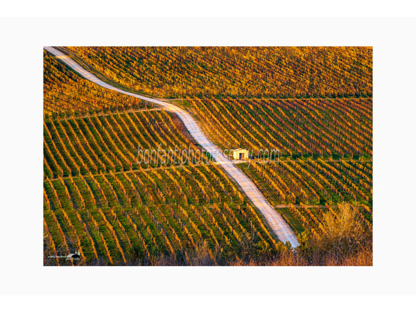 Chianti Vineyards and Villages Photo Tour with A. Bonfanti ph