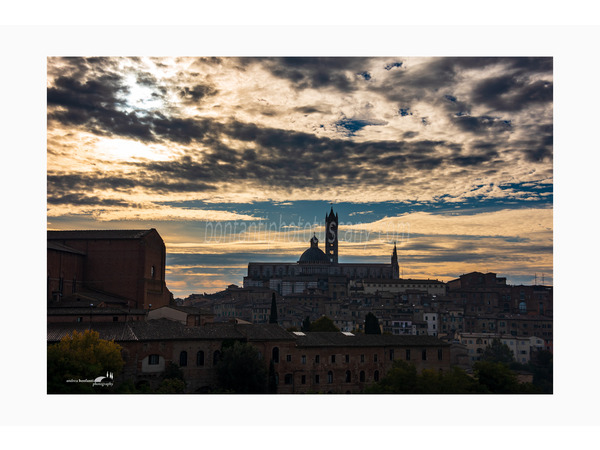 siena photo walk © andrea bonfanti ph.
