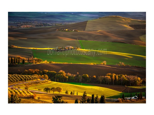 andrea bonfanti ph © val d'orcia landscape.jpg