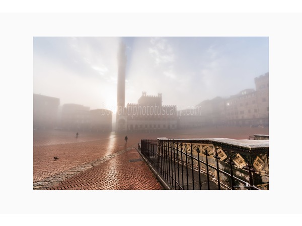 siena walking tour with andrea bonfanti