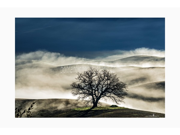 Tuscany Photo Tour Crete senesi landscapes