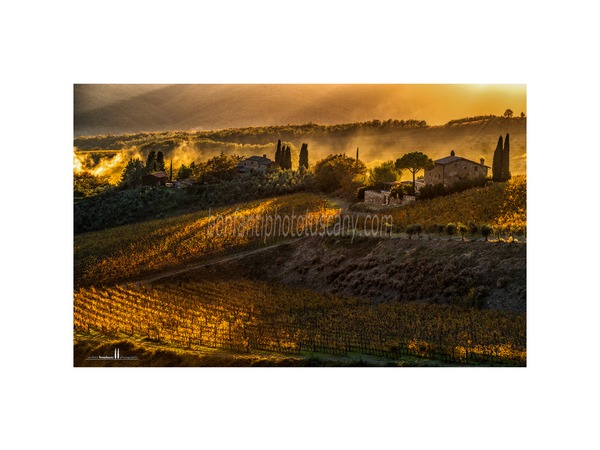 Tuscany Photo Tour Chianti vineyards and villages