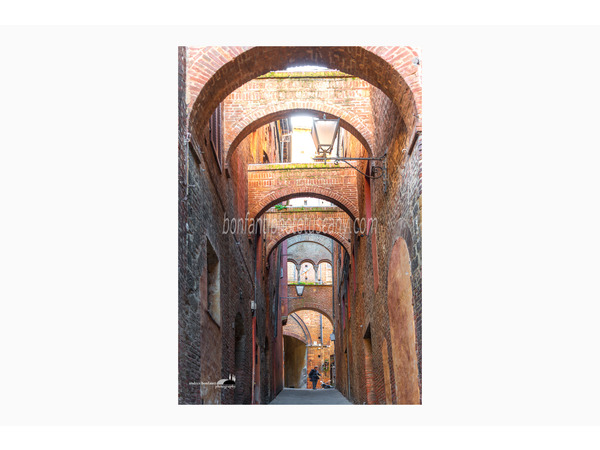 siena photo walk © andrea bonfanti ph.