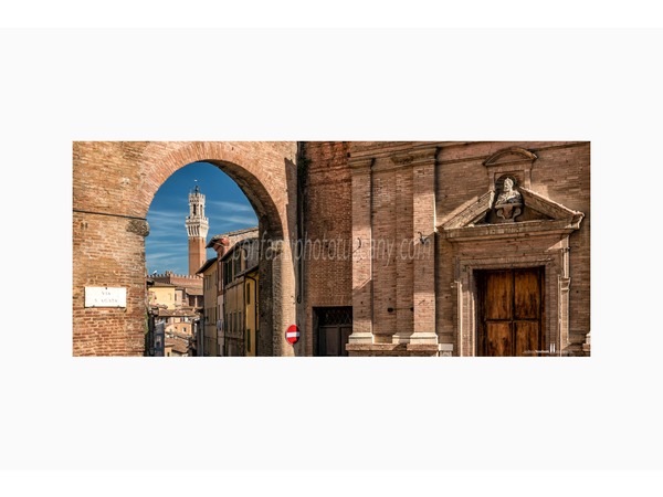 siena walking tour with andrea bonfanti