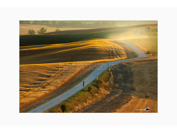 strada di campagna a ville di corsano.jpg