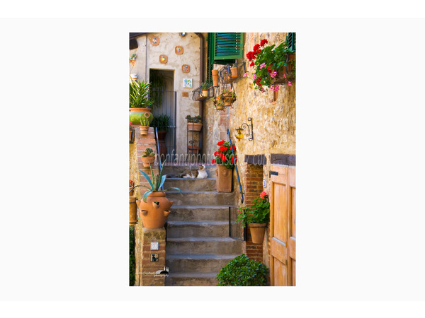 Chianti Vineyards and Villages Photo Tour with A. Bonfanti ph