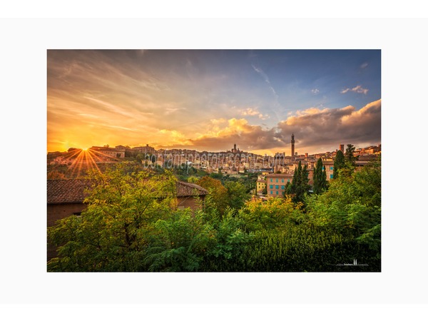 siena photo walk © andrea bonfanti ph.