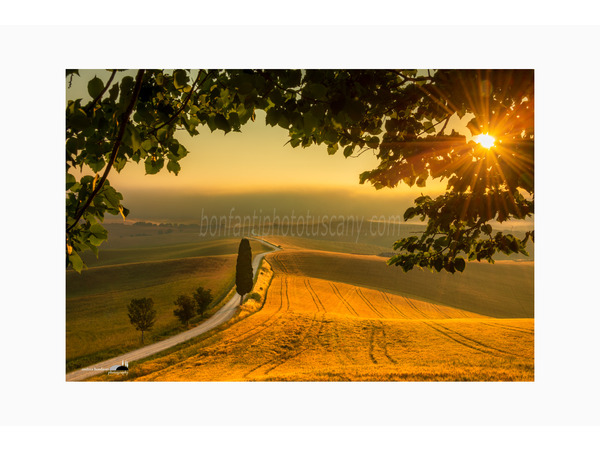 controluce a ville di corsano.jpg