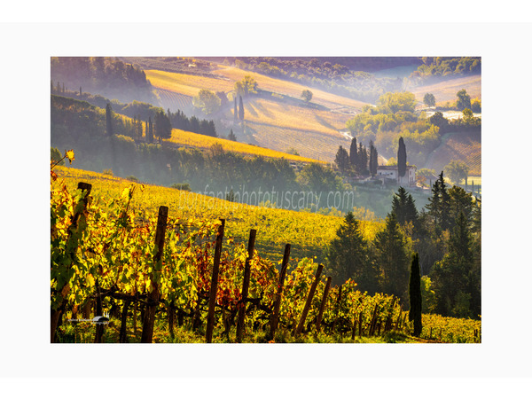 chianti fiorentino photo tour with andrea bonfanti ph.