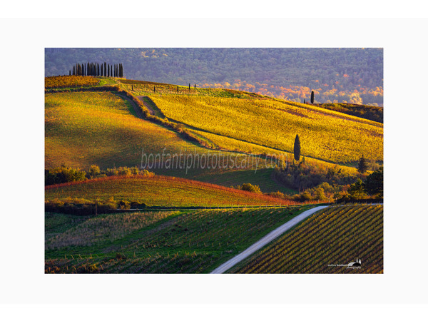 Chianti Vineyards and Villages Photo Tour with A. Bonfanti ph