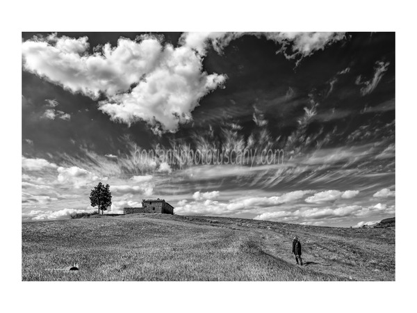 andrea bonfanti ph © a ruin in val d'orcia.jpg