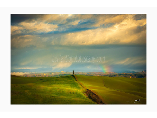 cipresso solitario con arcobaleno nel paesaggio delle crete senesi.jpg